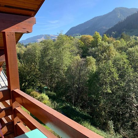 Appartement Vue Piste De Ski Praz-sur-Arly Zewnętrze zdjęcie