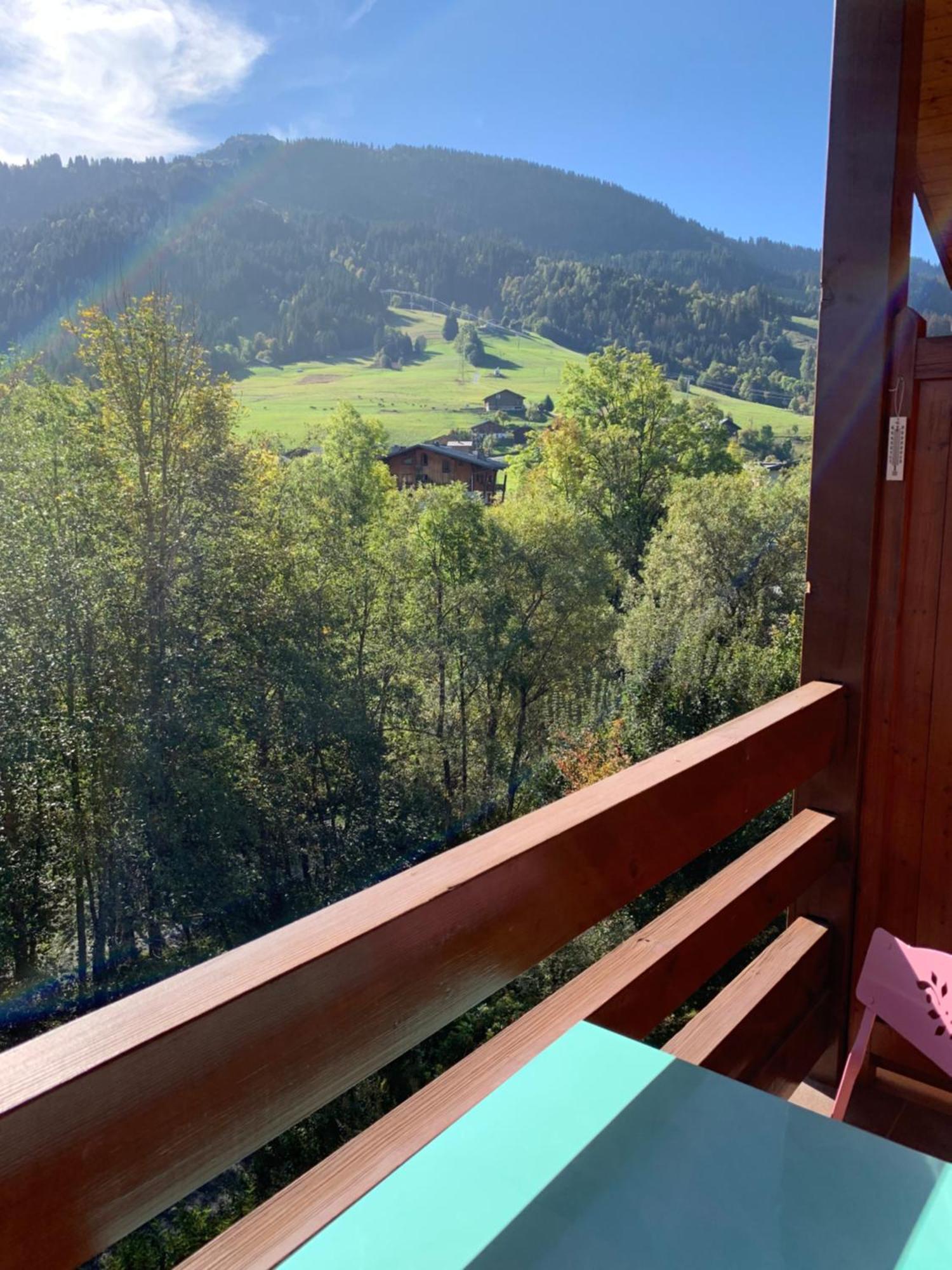 Appartement Vue Piste De Ski Praz-sur-Arly Zewnętrze zdjęcie